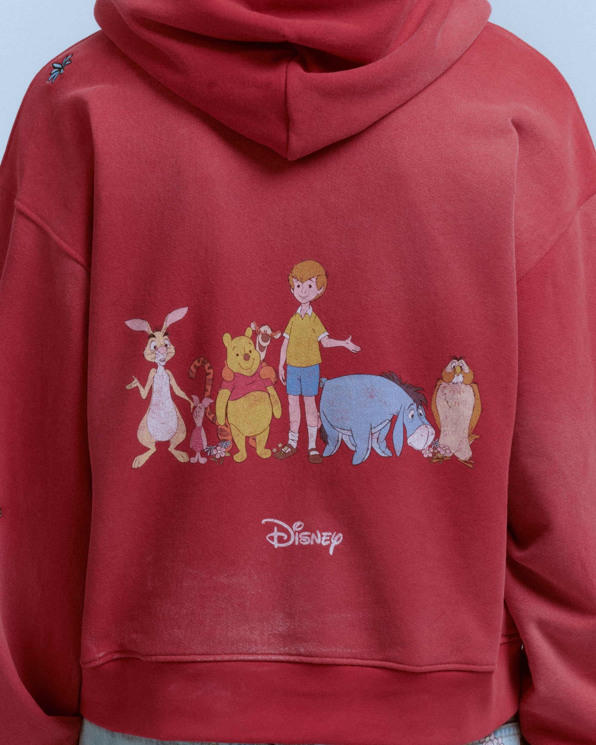 WINNIE THE POOH CHARACTERS ZIP HOODIE